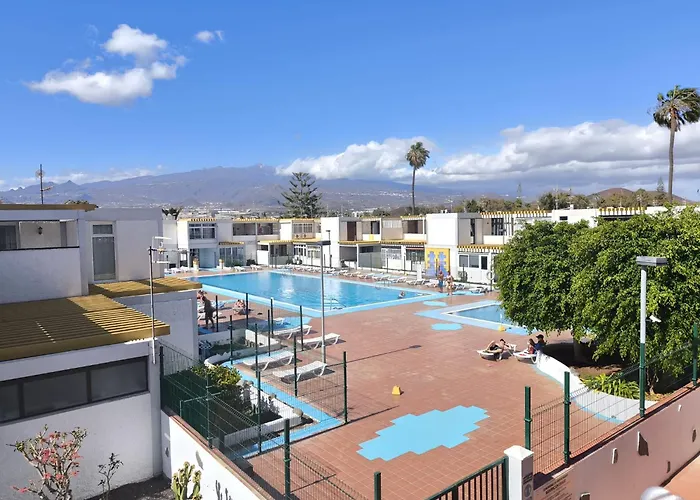 Rentenerife Canary Oasis Agarimo