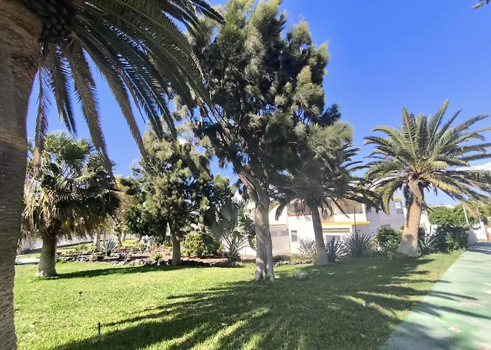 Rentenerife Canary Oasis Agarimo