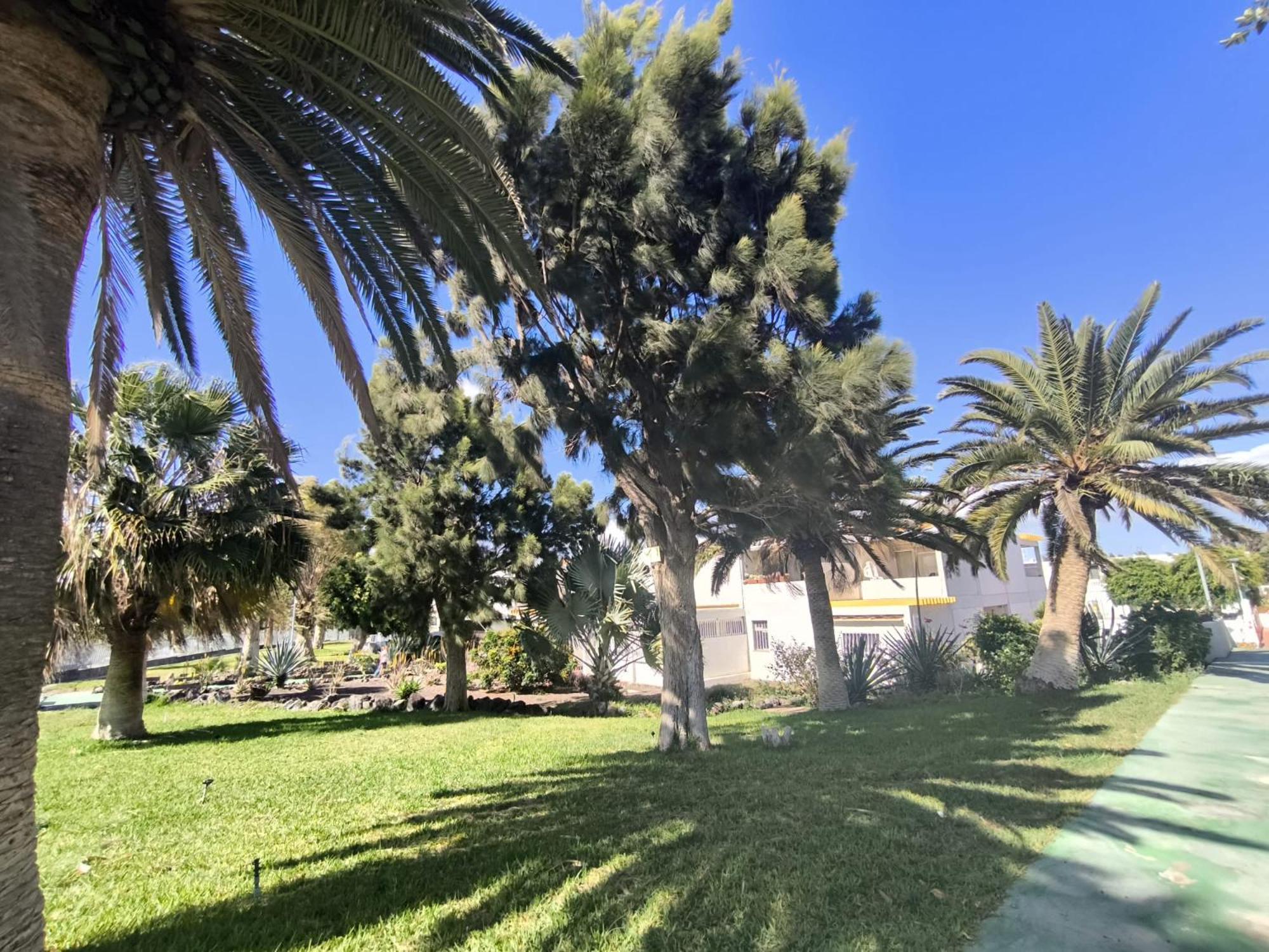 Appartement Rentenerife Canary Oasis Agarimo Costa Del Silencio